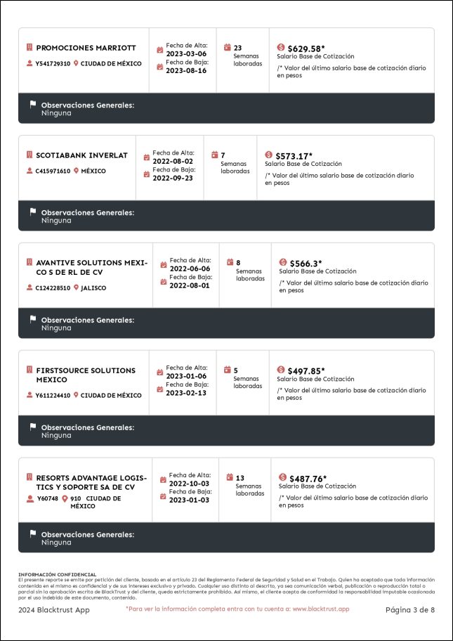 Reporte BGCLaboral_page-0003