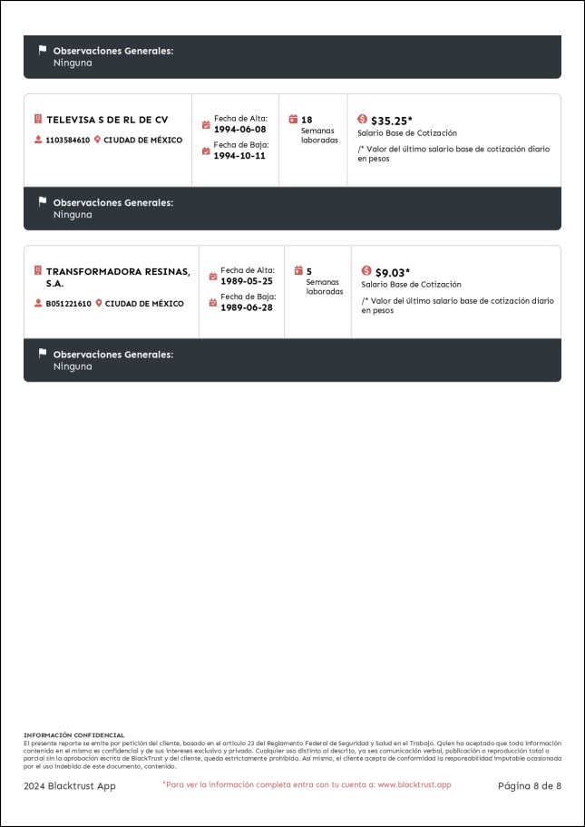 Reporte BGCLaboral_page-0008